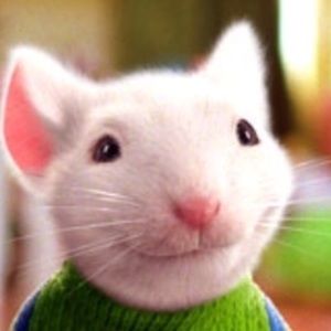 Meet your Posher, Jeyseen